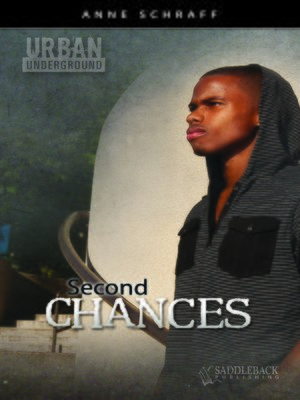 Second Chances - ebook